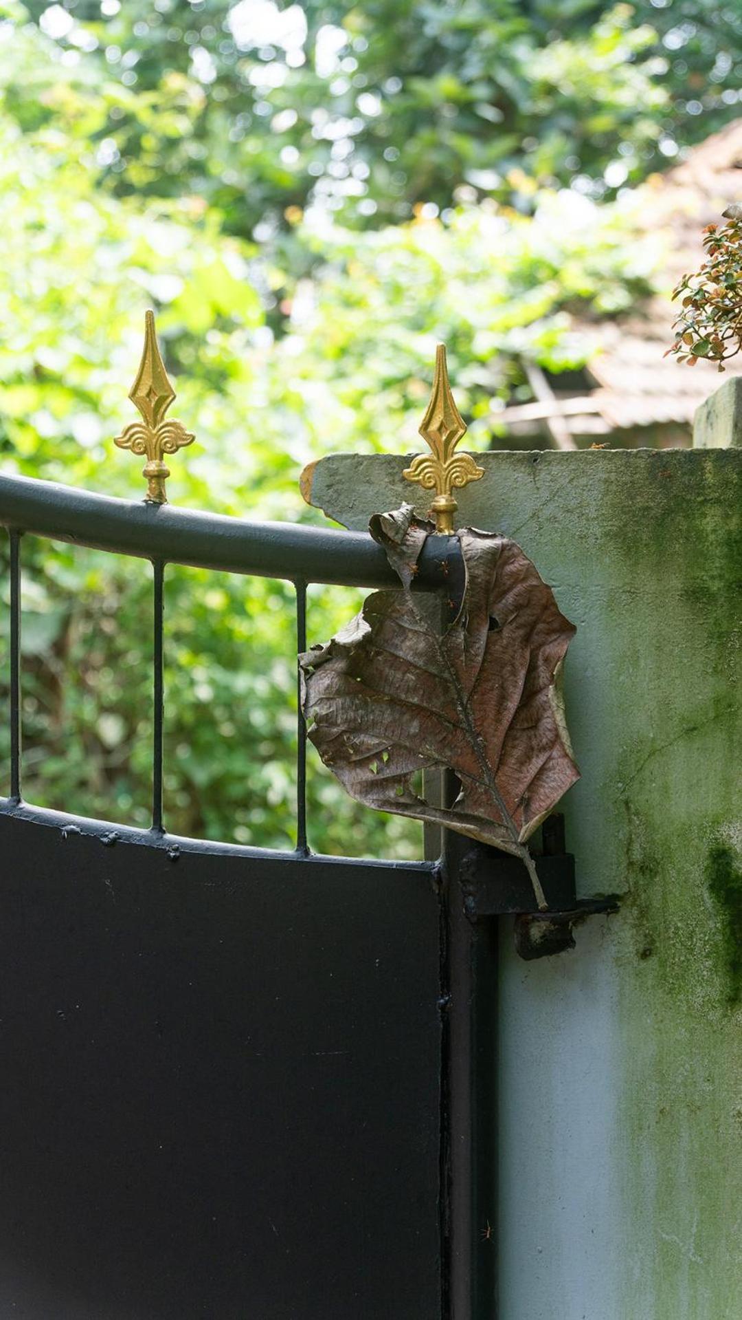 Soul Home Stay Varkala Bagian luar foto